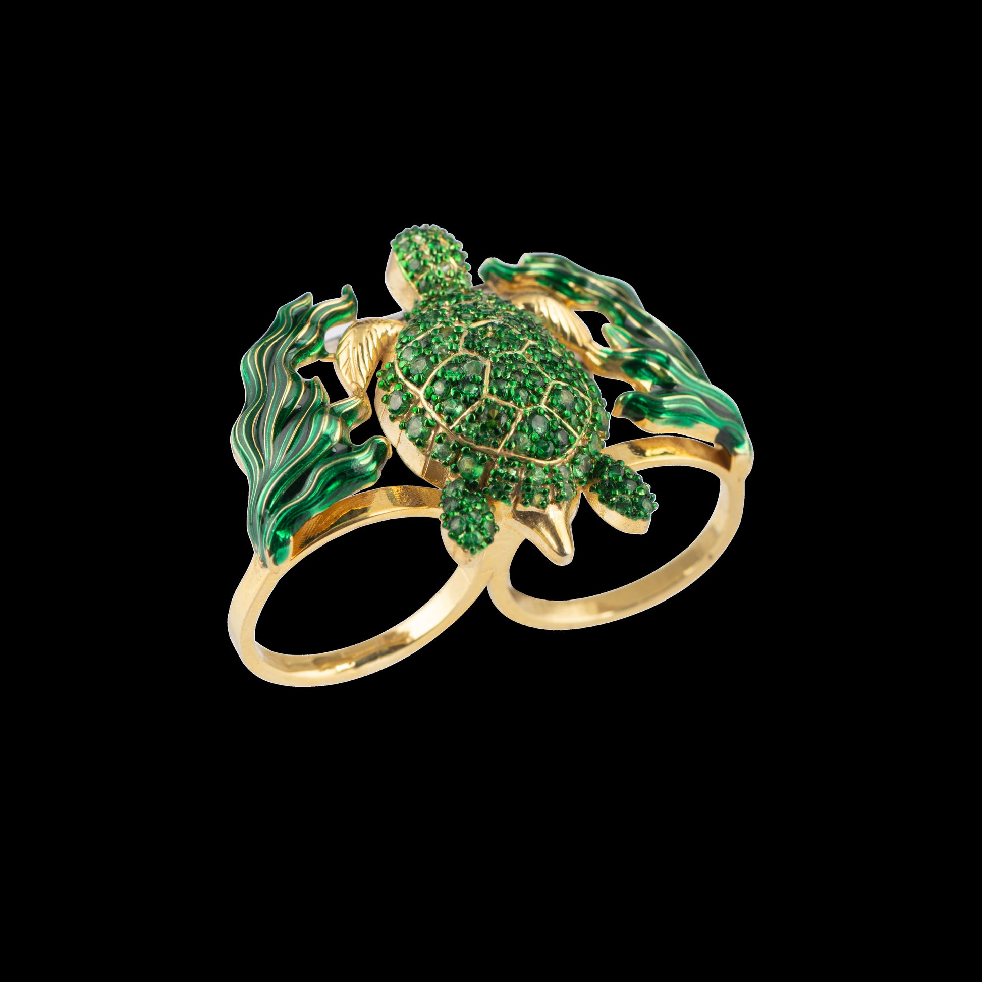 The Turtle